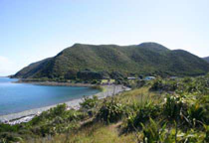 Wellington Kapiti Island