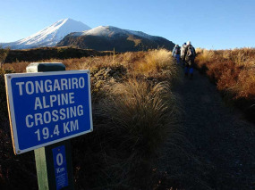 Nouvelle-Zélande - Parc national de Tongariro - Trek à la journée sur le fameux sentier Tongariro Crossing