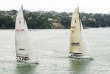 Nouvelle-Zélande - Auckland - Régate à bord d'un bateau de course de l'America's Cup