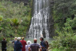 Nouvelle-Zélande - Auckland - Excursion Forêt tropicale et côte sauvage