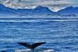 Nouvelle-Zélande - Ultimate Explorer au départ de Christchurch © Flying Kiwi, theplanettd.com
