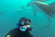 Nouvelle-Zélande - Kaikoura - Nager avec les dauphins