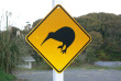 Nouvelle-Zélande - Stewart Island - Avifaune et flore de l'île d'Ulva à la demi-journée
