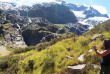 Nouvelle-Zélande - Wanaka - Randonnée guidée de 10 km à la découverte du glacier de Rob Roy