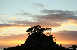 Nouvelle-Zélande - Abel Tasman National Park - Randonnée guidée dans le Parc national d'Abel Tasman - Séjour au Torrent Bay Lodge