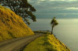 Nouvelle-Zélande - Coromandel - Découverte du Nord sauvage et de Port Jackson © Destination Coromandel