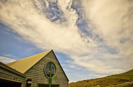 Nouvelle-Zélande - Dunedin - Faune sauvage de la péninsule d'Otago sous toutes ses coutures - The Albatross Centre