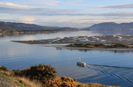 Nouvelle-Zélande - Dunedin - Journée découverte de la péninsule d'Otago