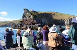 Nouvelle-Zélande - Dunedin - Croisière Monarch Cruises et visite à The Penguin Place
