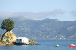 Nouvelle-Zélande - Dunedin, Otago