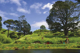 Nouvelle-Zélande - Matamata - Découverte du village de Hobbiton