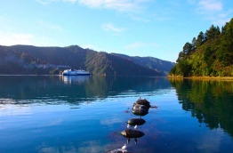 Nouvelle-Zélande - Marlborough Sounds - Le meilleur de Marlborough à terre et en mer