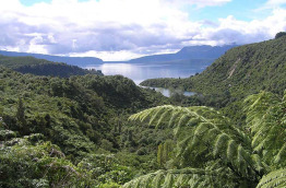 Nouvelle-Zélande - Rotorua