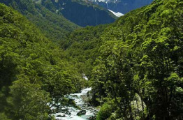 Nouvelle-Zélande - Wanaka - Randonnée guidée de 10 km à la découverte du glacier de Rob Roy