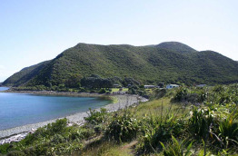 Nouvelle-Zélande - Wellington - Visite de l'île de Kapiti à la journée