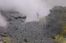 Nouvelle-Zélande - Whakatane - Expédition au volcan de White island en bateau