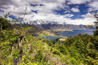 Nouvelle-Zélande - Wild West Tour Queenstown - Picton © Flying Kiwi, Matthias Gudath