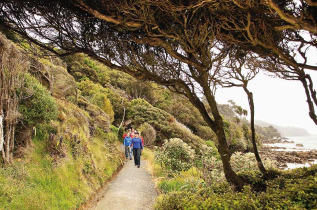 Nouvelle-Zélande - Stewart Island - Croisière dans l'anse de Paterson, inclus marche guidée sur l'île d'Ulva