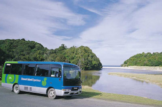 Nouvelle-Zélande - Stewart Island - Découverte d'Oban et ses environs en autocar