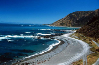 Nouvelle-Zélande - Wellington - Palliser Bay et vignobles hors sentiers battus