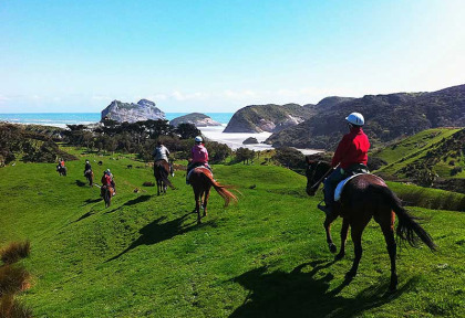 Nouvelle-Zélande - Cape Farewell - Randonnée guidée à cheval au Puponga Farm Park