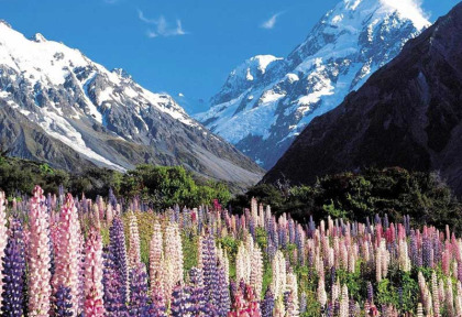 Nouvelle-Zélande - Christchurch - Expédition à la journée au Parc national du Mt Cook