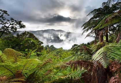 Nouvelle-Zélande - Rotorua, Waimangu