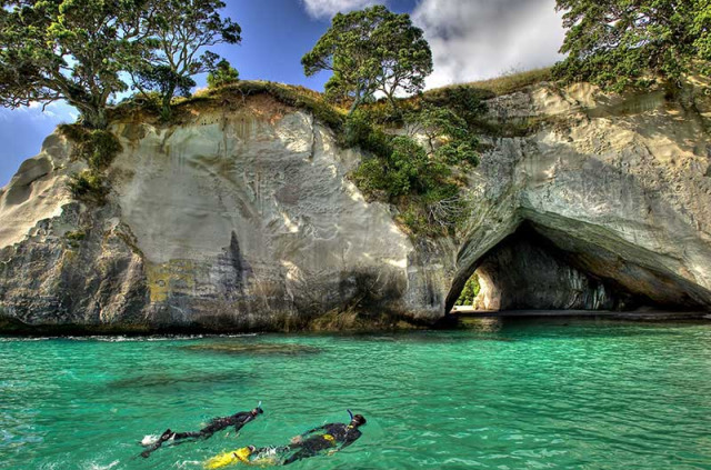 Nouvelle-Zélande - Coromandel - Les merveilles de Cathedral Cove en bateau à fond de verre