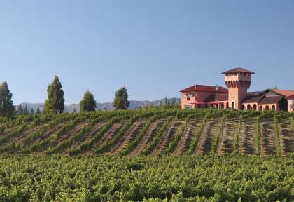 Vignobles de Marlbourough