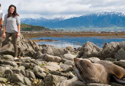 Baleine de Kaikoura