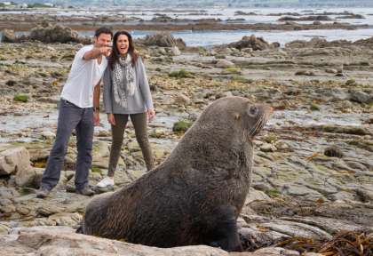 Péninsule de Kaikoura