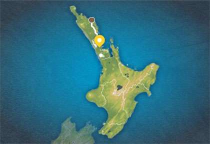 Autotour Bay of Island au départ de Auckland