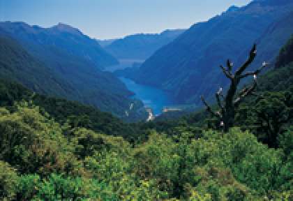 Doubtful Sound