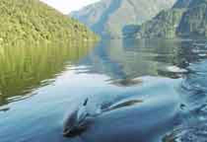 Doubtful Sound