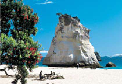 Péninsule de Coromandel