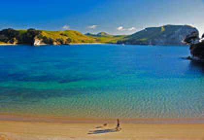 Coromandel - Mercury Bay