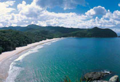 Coromandel - New Chums Beach