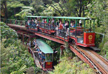 Coromandel - Driving Creek Rail
