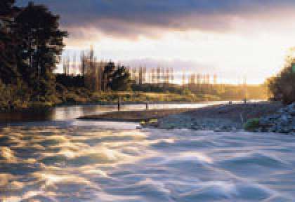 Turangi