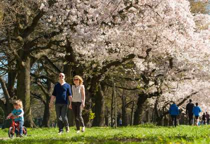 Les jardins de Christchurch