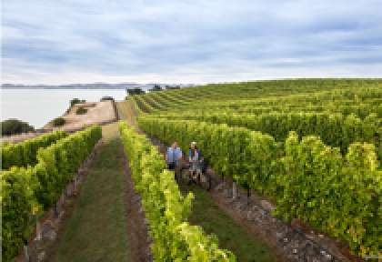 Marlborough