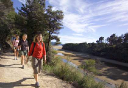 Abel Tasman Coastal Track