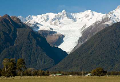 Fox Glacier