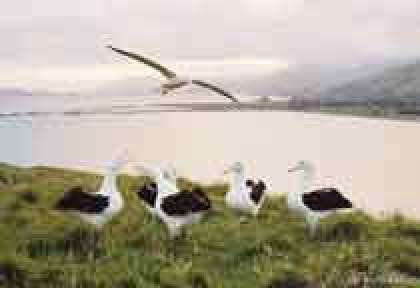 Peninsule d'Otago