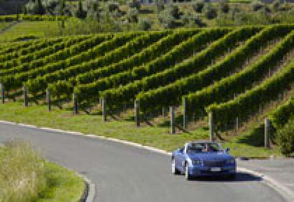 Hawke's Bay