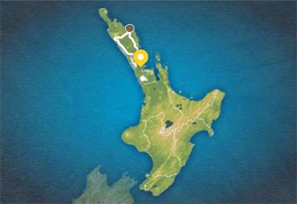 Autorout Bay of Island