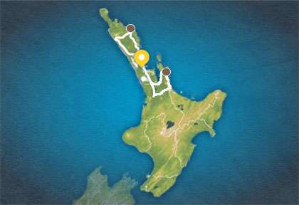 Autotour Bay of island & Coromandel