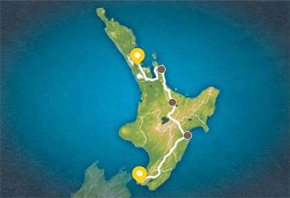 Nouvelle-Zélande - Northland, Waipoua © Northland Inc