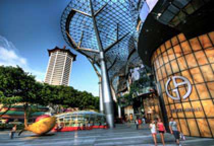 Shopping à Ochard Road