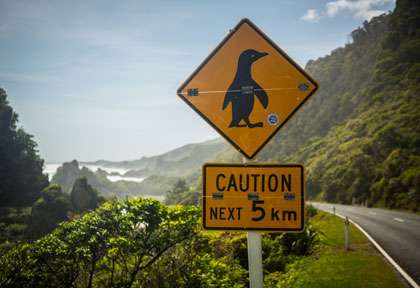panneau routier en Nouvelle-Zélande